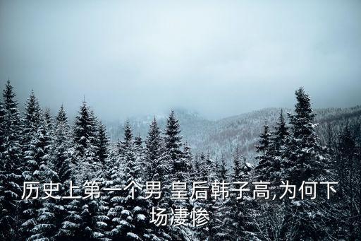 魅惑的皇后,《甄嬛傳》女主角甄子丹飾演乾隆皇后