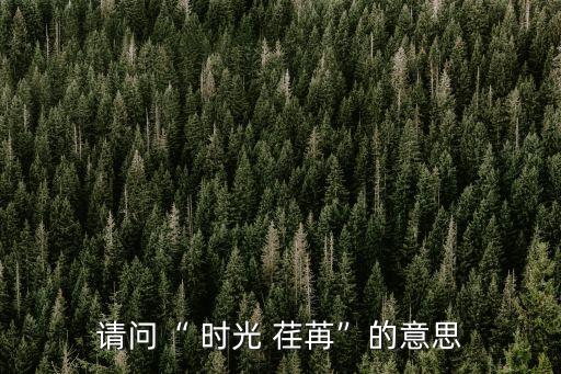 請問“ 時光 荏苒”的意思