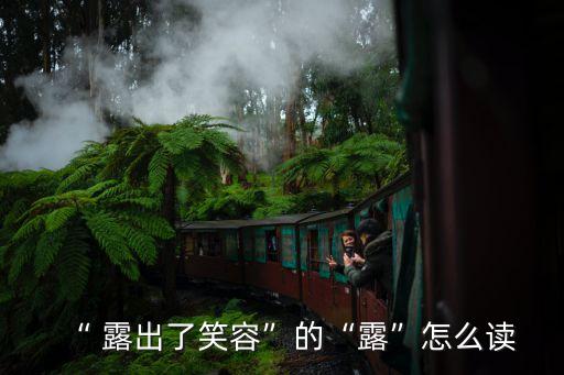 露出,露出微笑中的lu字應該讀作luu