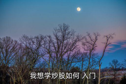 股市入門,如何在股市中投資?