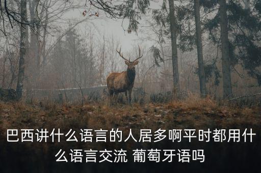 巴西人英文，巴西人的英語拼寫