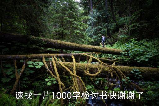 檢討書1000，寫檢討書1000字