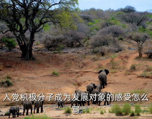 入黨積極分子成為發(fā)展對(duì)象的感受怎么寫