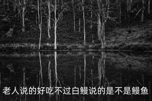老人說的好吃不過白鰻說的是不是鰻魚