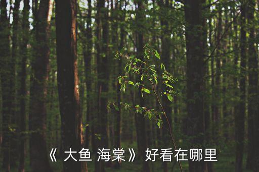 《 大魚(yú) 海棠》 好看在哪里