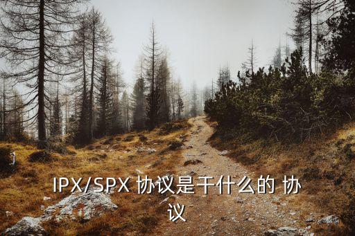 ipx協議,局域網中廣泛使用的網絡協議是spx/xx