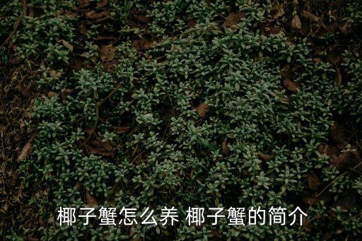 椰子蟹,椰子螃蟹怎么吃?大火蒸熟椰子肉提前上桌