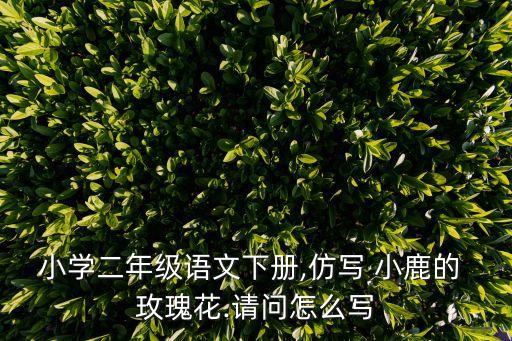 小鹿的玫瑰花,小鹿of玫瑰花迎來了小蜻蜓和蝴蝶