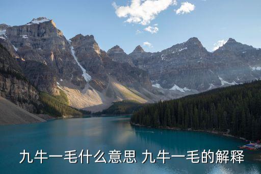  九牛一毛什么意思 九牛一毛的解釋