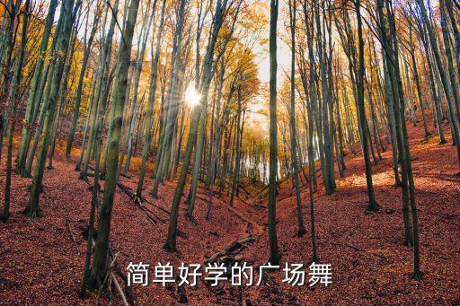 學(xué)最簡(jiǎn)單的廣場(chǎng)舞，簡(jiǎn)單好學(xué)的廣場(chǎng)舞
