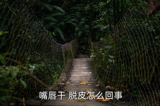 嘴唇干 脫皮怎么回事
