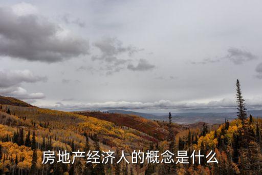 房地產(chǎn)經(jīng)濟(jì)人的概念是什么