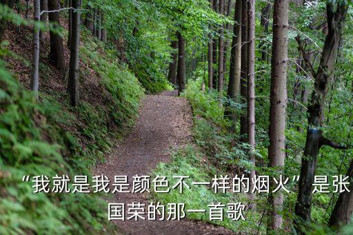 “我就是我是顏色不一樣的煙火”是張國(guó)榮的那一首歌