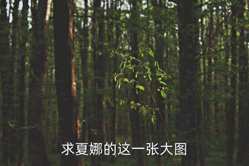 夏娜圖片，夏娜好看的圖片有哪些