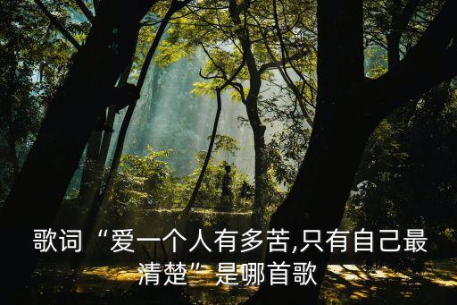 錯過的情人歌詞,錯過情人原創單曲