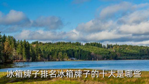 冰箱牌子排名冰箱牌子的十大是哪些