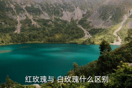  紅玫瑰與 白玫瑰什么區別