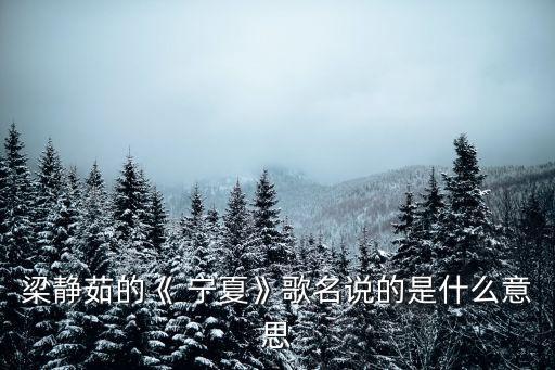 寧夏歌詞,歌詞《我心里想你的臉》出自專輯寧夏