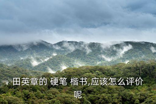 楷書硬筆,中國硬筆書法協會第一任會長田英章楷書字畫精致美觀
