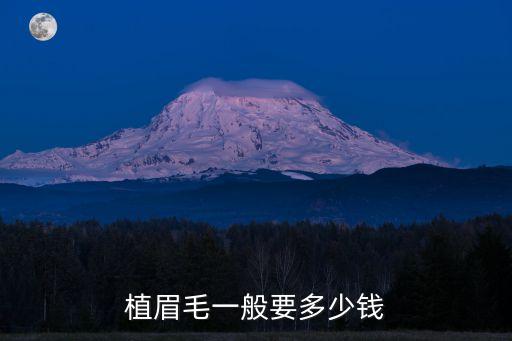 植眉毛價格表，植眉毛價格表有沒有知道詳細的