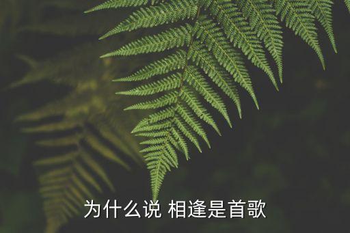 為什么說 相逢是首歌