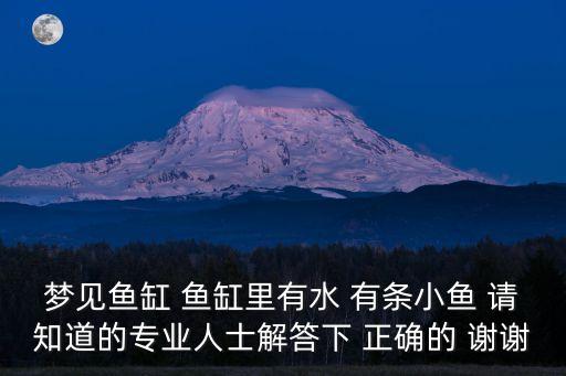 夢見魚缸 魚缸里有水 有條小魚 請知道的專業人士解答下 正確的 謝謝