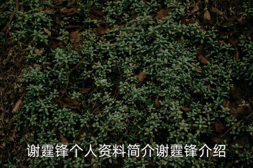 謝霆鋒個(gè)人資料簡(jiǎn)介謝霆鋒介紹
