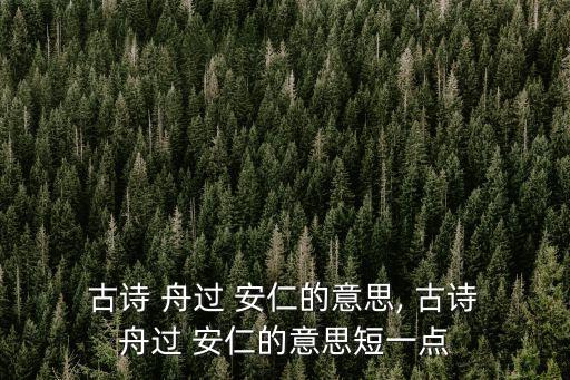  古詩 舟過 安仁的意思, 古詩 舟過 安仁的意思短一點