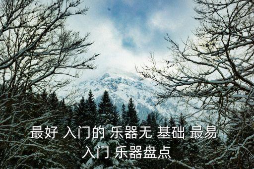 最好 入門的 樂器無 基礎(chǔ) 最易 入門 樂器盤點(diǎn)