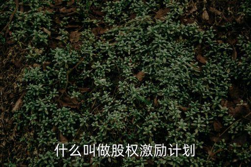 激勵計劃，員工的個人激勵計劃包括哪些途徑