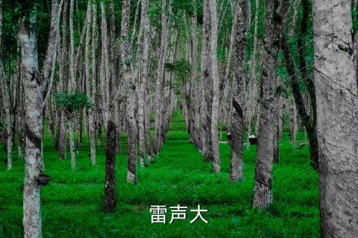 雷聲大