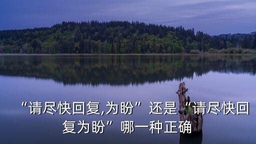 “請盡快回復,為盼”還是“請盡快回復為盼”哪一種正確