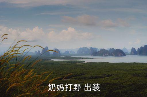  奶媽打野 出裝