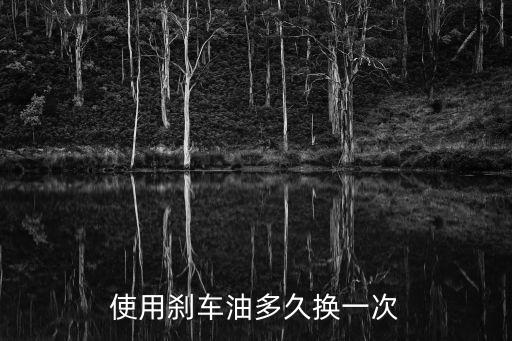 使用剎車油多久換一次