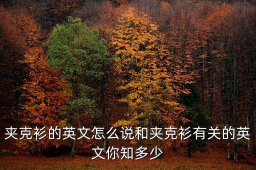夾克衫的英文怎么說和夾克衫有關的英文你知多少