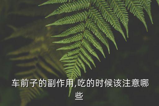  車前子的副作用,吃的時候該注意哪些