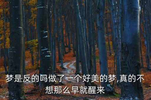 夢是反的嗎做了一個好美的夢,真的不想那么早就醒來