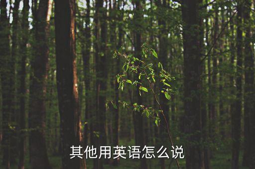 其他英文怎么說，其他 的英文是什么