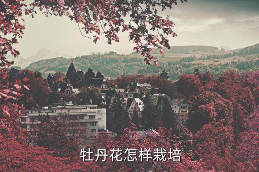 牡丹花種植技術,怎么種丹頂鶴才能盆栽?
