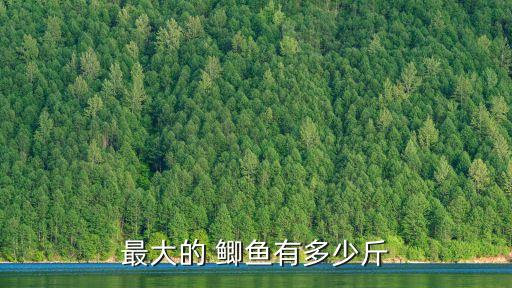 最大的鯽魚,我國各地四季均有鯽魚產量極其豐滿