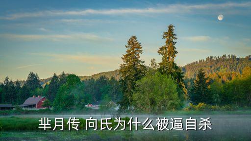 向氏,殘忍將軍虐待魏氏生下兒子魏冉自殺