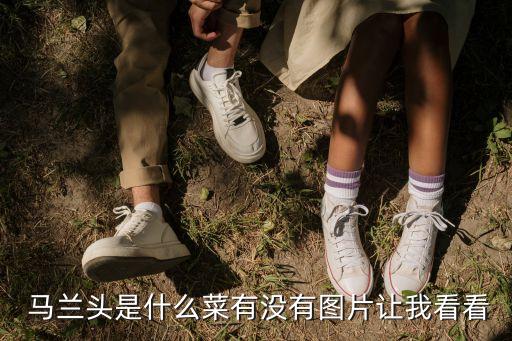 馬蘭圖片,馬蘭頭知多少?