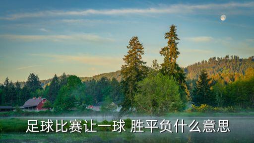 足球勝平負,讓球勝平負彩票就是中獎輸不到2球還是輸?