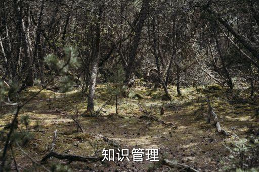  知識管理