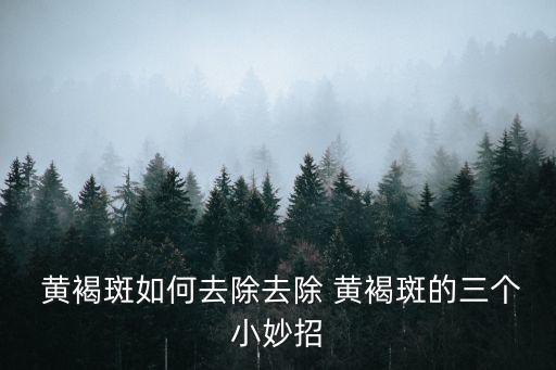 快速祛黃褐斑,怎么去除黃褐斑?看這里!
