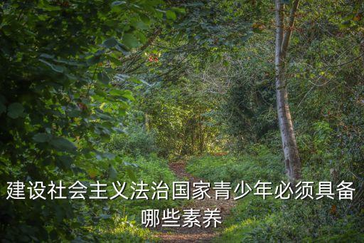 法治素養，建設社會主義法治國家青少年必須具備哪些素養