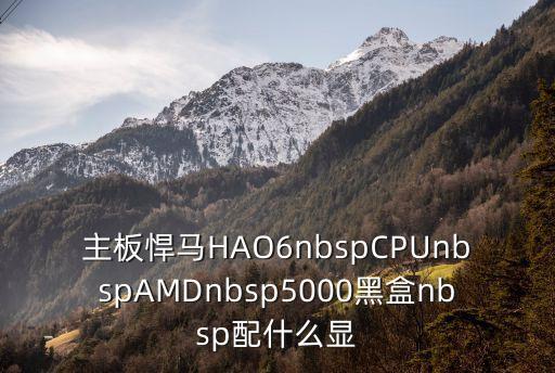 主板悍馬HAO6nbspCPUnbspAMDnbsp5000黑盒nbsp配什么顯