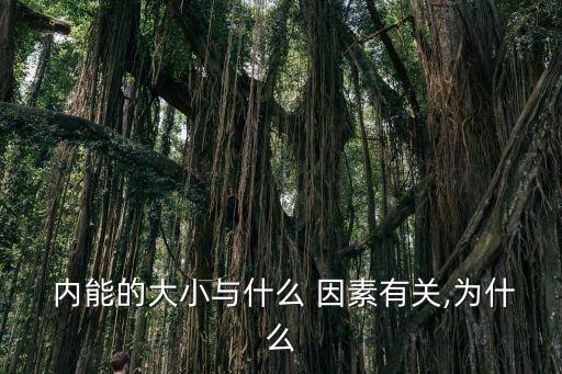  內(nèi)能的大小與什么 因素有關(guān),為什么