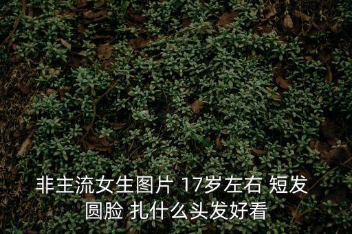 非主流女生圖片 17歲左右 短發(fā) 圓臉 扎什么頭發(fā)好看