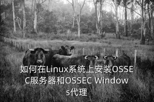 ossec，ossec默認(rèn)能連接多少agent